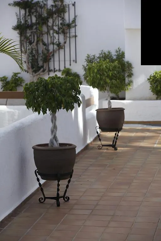 Beverly Hills Suites - Excel Hotels & Resorts Los Cristianos  Los Cristianos (Tenerife)